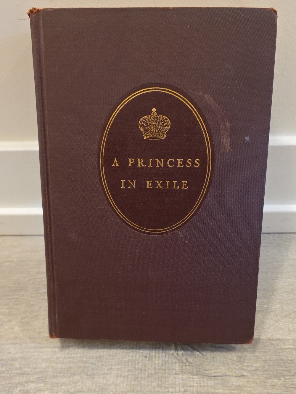 A Princess in Exile - Brown Hardcover Book